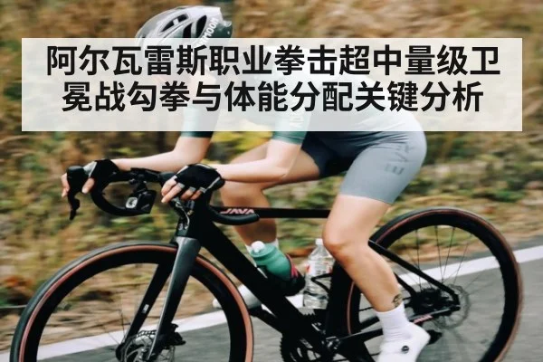阿尔瓦雷斯职业拳击超中量级卫冕战勾拳与体能分配关键分析 - leyu